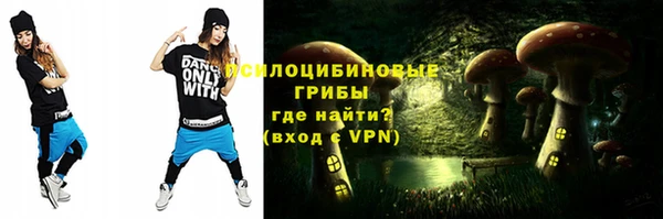 соль ск Абаза