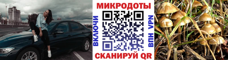 Галлюциногенные грибы ЛСД  blacksprut зеркало  Хасавюрт 